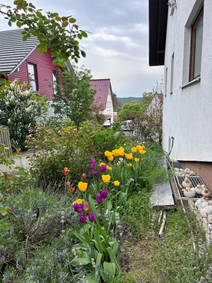 Fewo Michistrasse Forchheim  Exterior photo